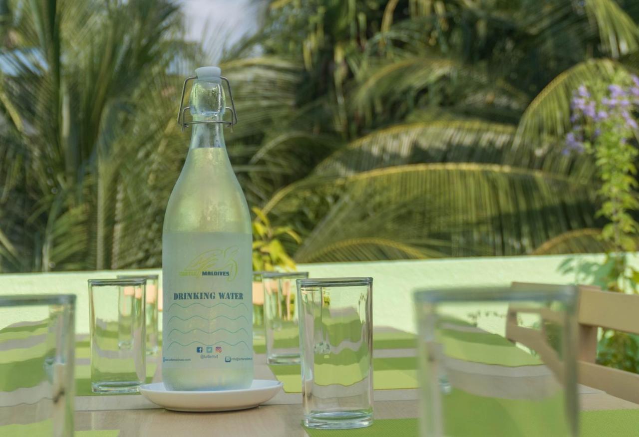 Turtle Maldives - Your Gateway To The Beach & Marine Adventures Await! Omadhoo Exterior foto