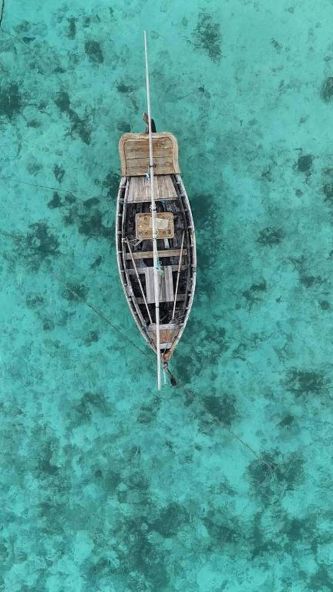 Turtle Maldives - Your Gateway To The Beach & Marine Adventures Await! Omadhoo Exterior foto