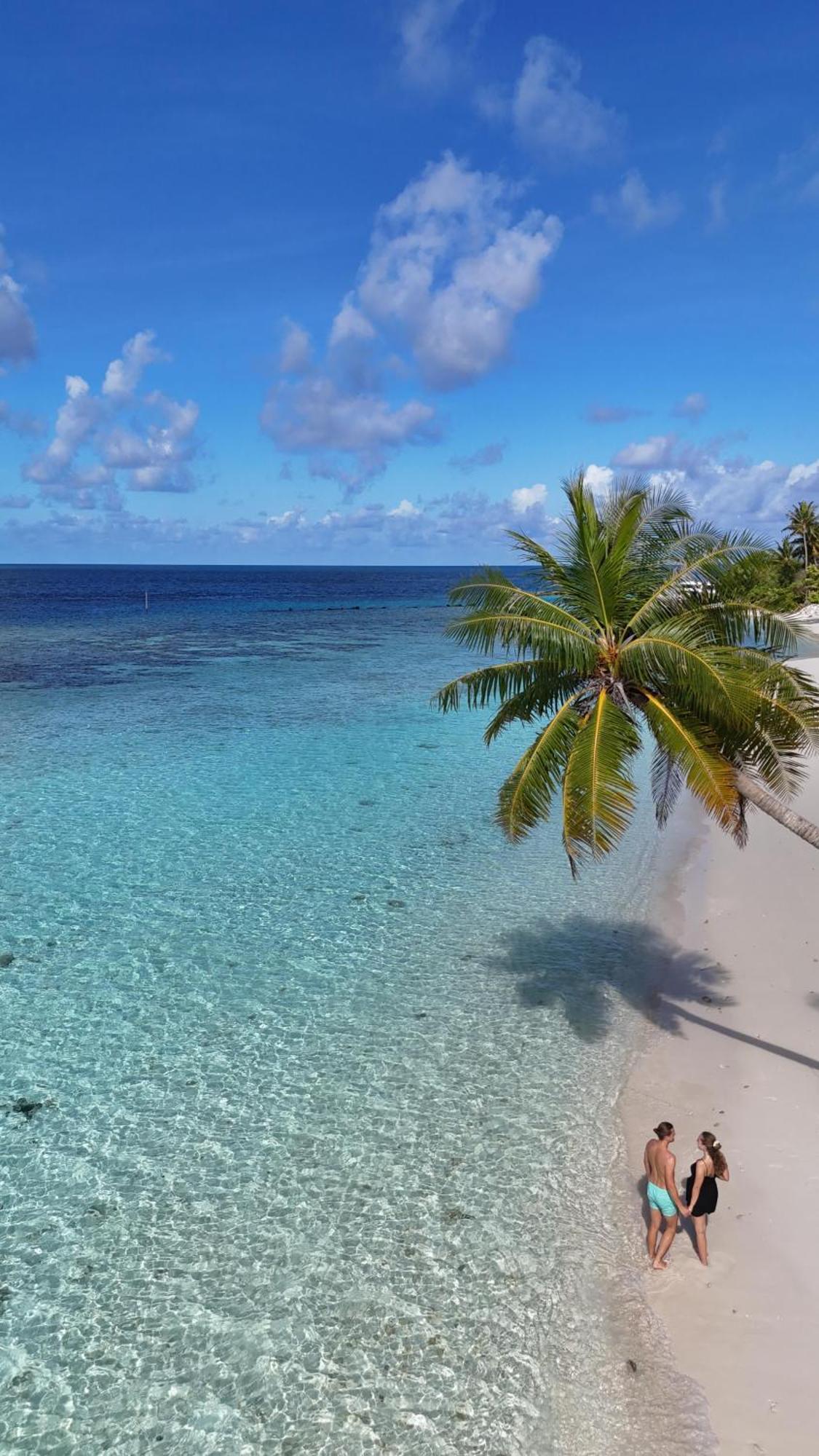 Turtle Maldives - Your Gateway To The Beach & Marine Adventures Await! Omadhoo Exterior foto